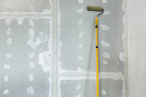  Durham, NC Mold Removal Pros